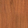 D722 SE - Orzech