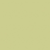 D2724 PE - Oliwkowy